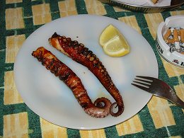 Mezes Oktopus